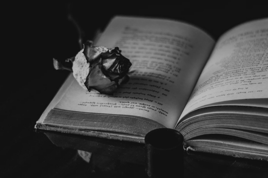 Photo by El Swaggy on Unsplash