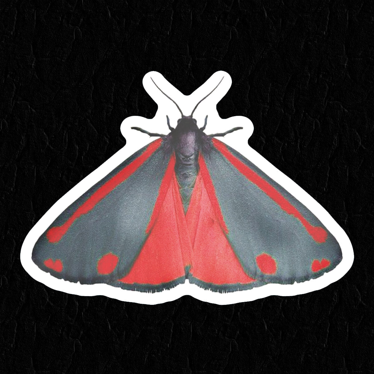 Moth Sticker ⛧ Occult Patches & Pins