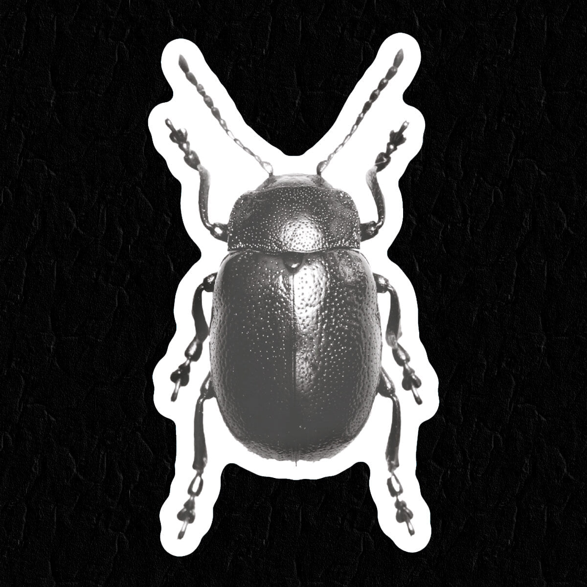Beetle Sticker - Occult Patches & Pins