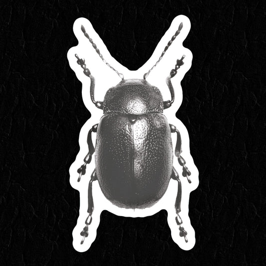 Beetle Sticker - Occult Patches & Pins