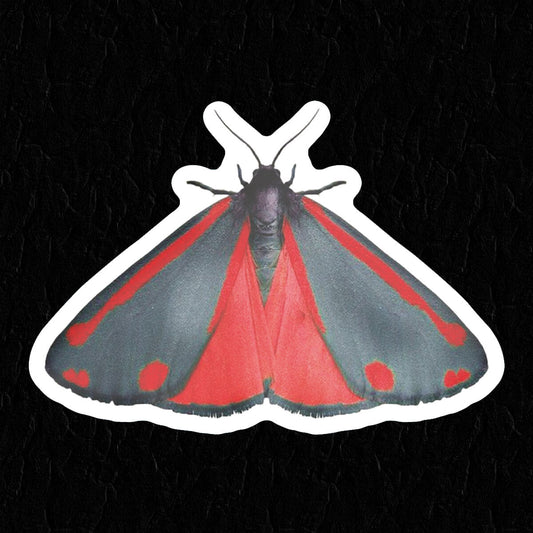Moth Sticker ⛧ Occult Patches & Pins
